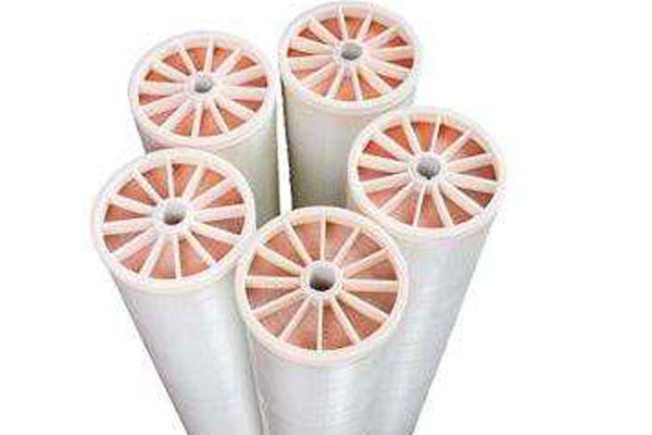 導致東麗膜污染的因素有哪些？